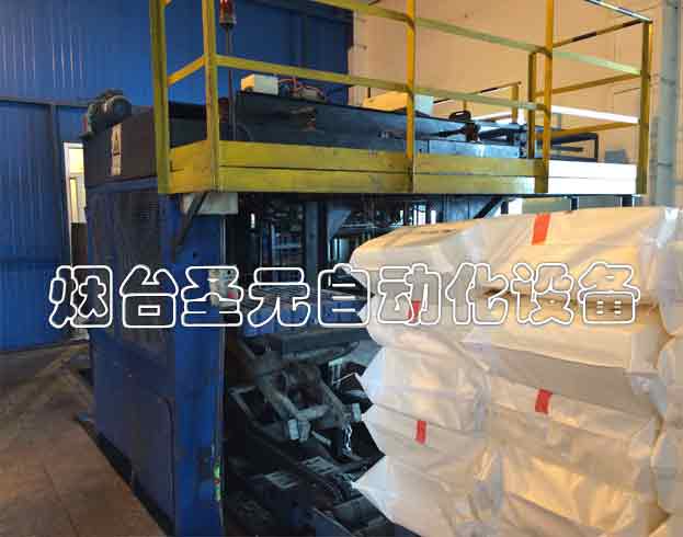 非標設(shè)計碼垛機圖